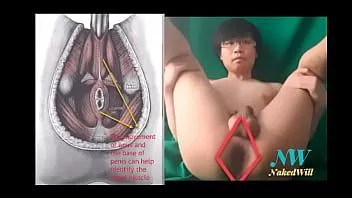 play Latihan kegel demo telanjang Nakedwill untuk pendidikan, inkontinensia, dan seks yang lebih baik